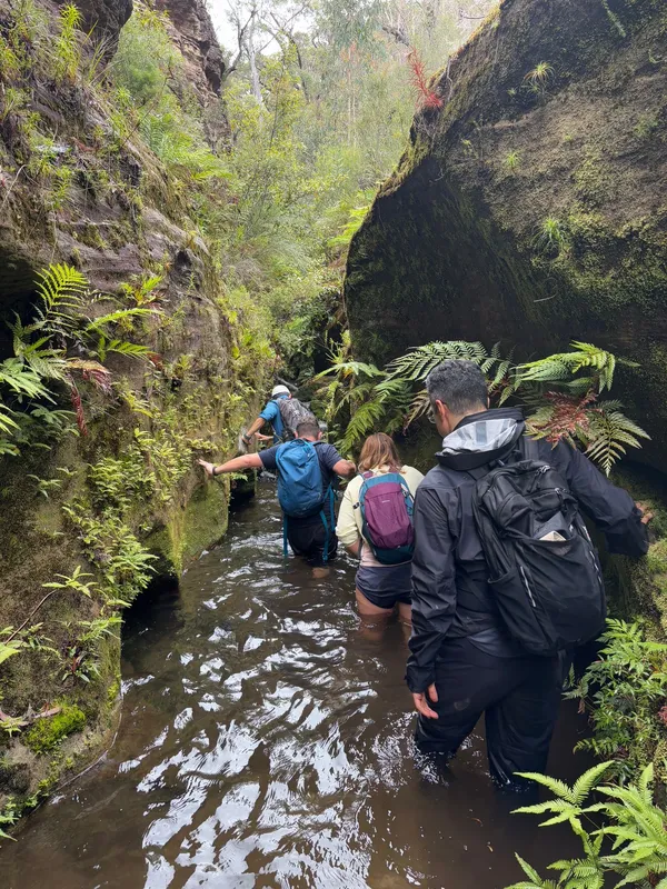 Friday Canyon — Garden of Stones