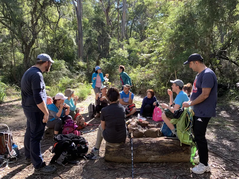 Sublime Point Trail — Blue Mountains