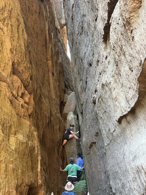 Jamison Pass — Gardens Of Stones