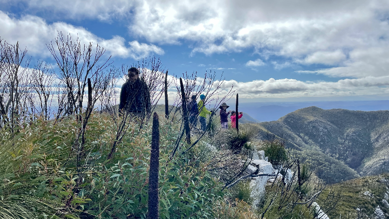 Mt Budawang — Budawangs National Park