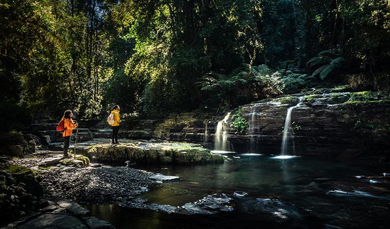 Barrington Tops National Park