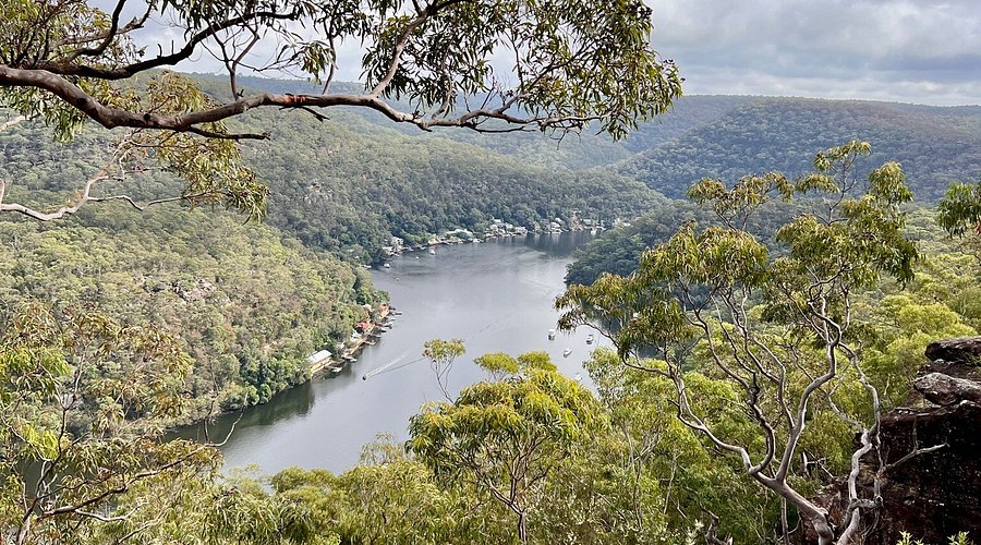 Berowra Valley National Park