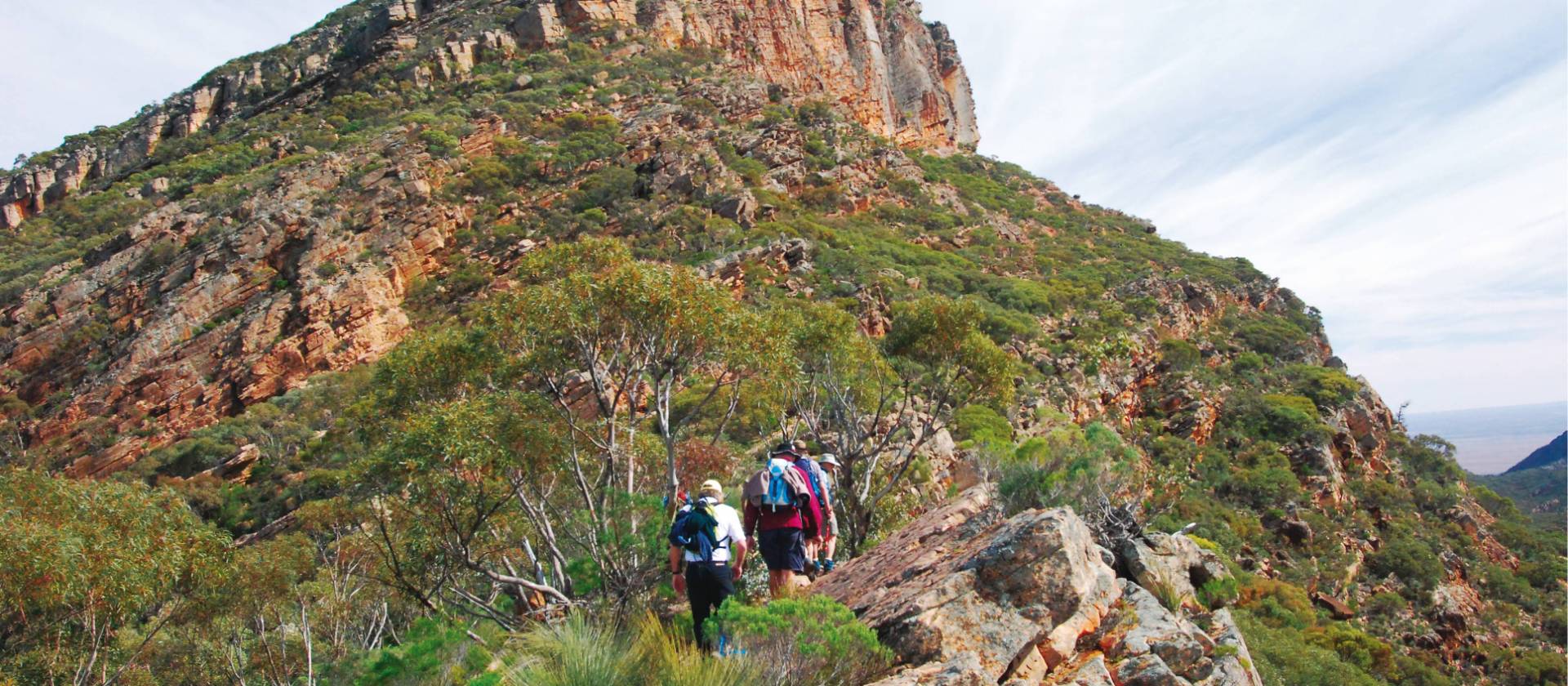 Friends of Heysen