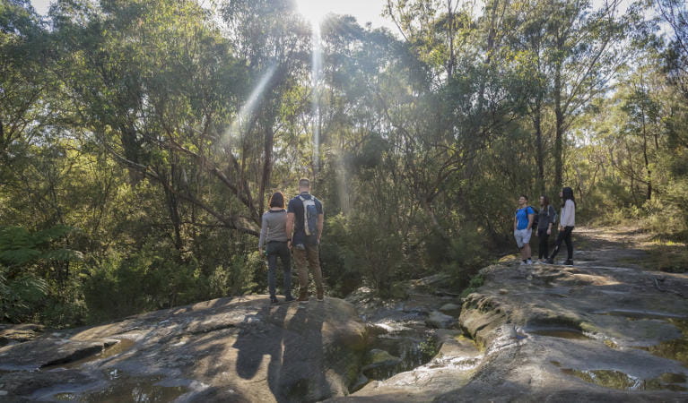 Garigal National Park