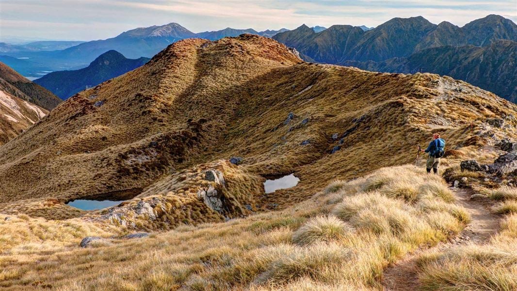 Kepler Track