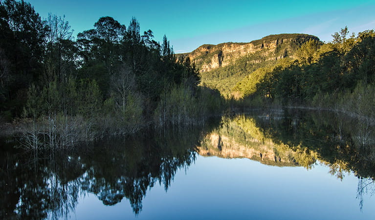 Nattai National Park