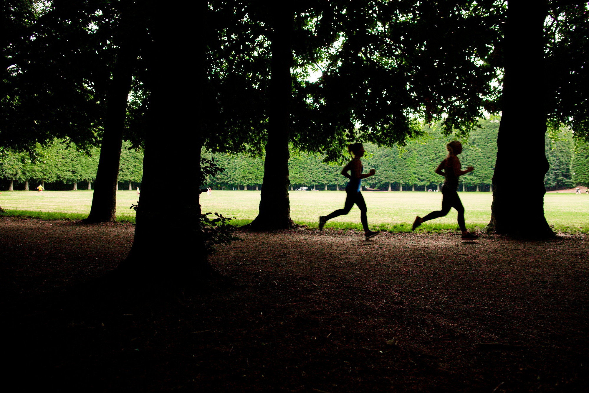 Park Run