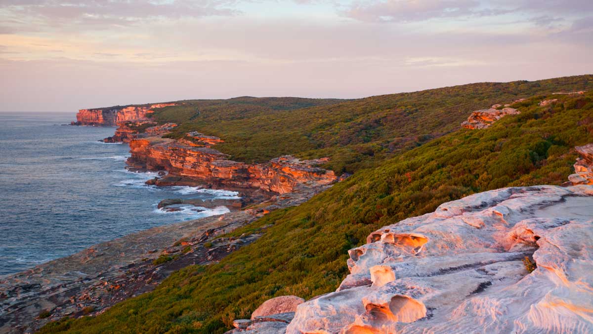 Royal Coast Track
