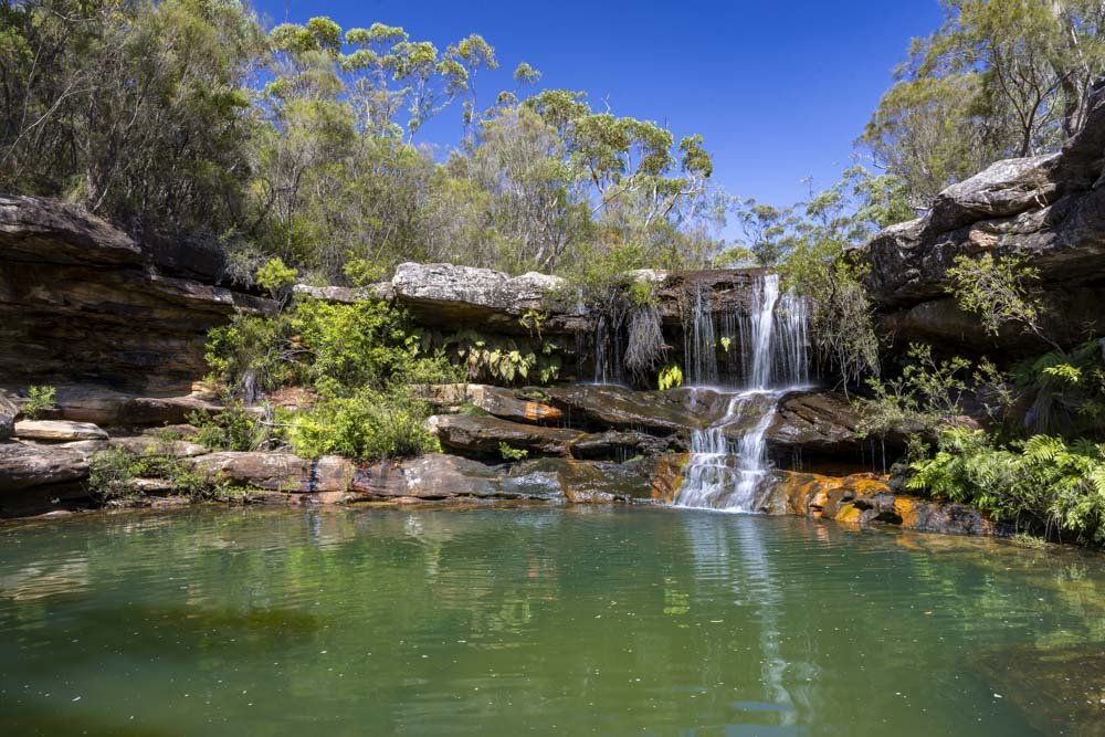 Royal National Park