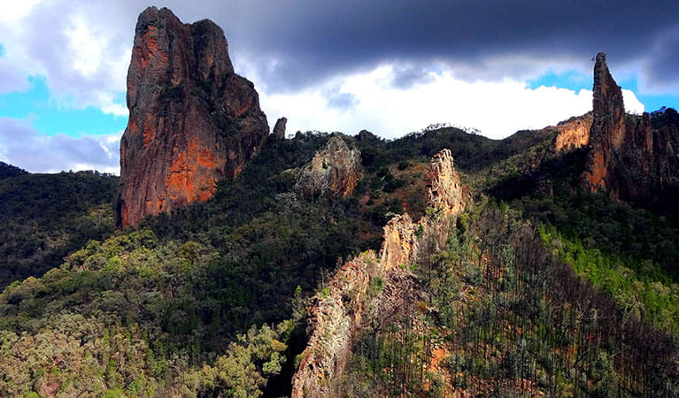 Warrumbungle National Park